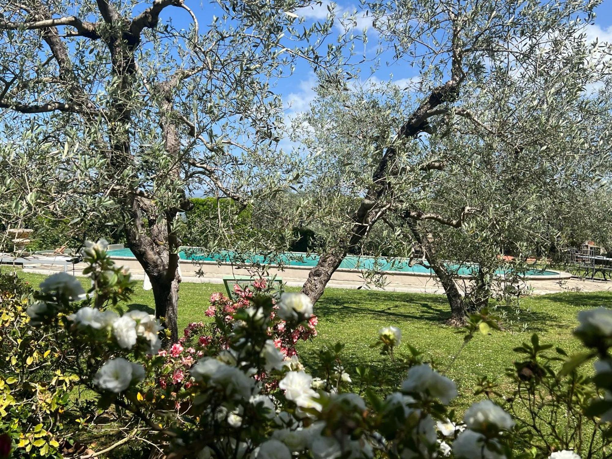 Villa Giotto Florence Pozzolatico Экстерьер фото